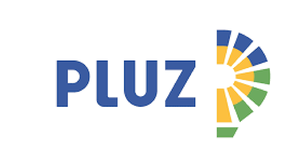 pluz_Mesa de trabajo 1 web